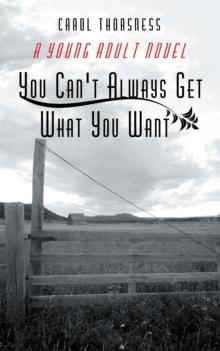 You Can't Always Get What You Want : A Young Adult Novel