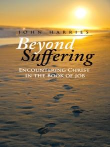 Beyond Suffering : Encountering Christ in the Book of Job