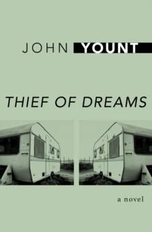 Thief of Dreams : A Novel