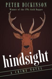 Hindsight : A Crime Novel