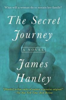 The Secret Journey : A Novel