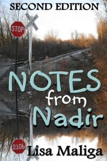 Notes from Nadir