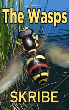 Wasps