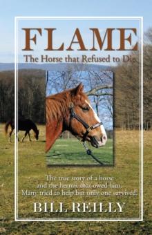 Flame - the Horse That Refused to Die