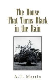 The House That Turns Black in the Rain