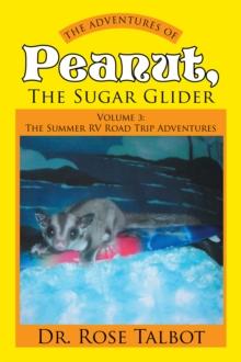 The Adventures of Peanut, the Sugar Glider : Volume 3: the Summer Rv Road Trip Adventures