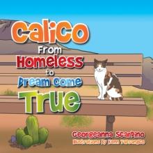 Calico : From Homeless to Dream Come True