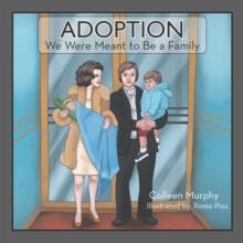 Adoption : We Were Meant to Be a Family