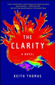 The Clarity : A Novel