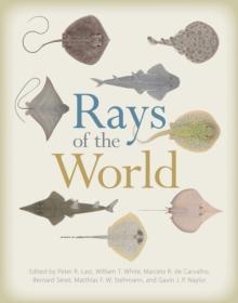 Rays of the World