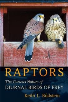 Raptors : The Curious Nature of Diurnal Birds of Prey