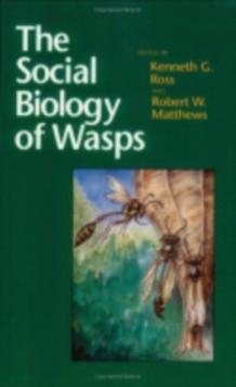 The Social Biology of Wasps