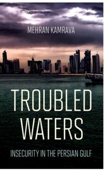 Troubled Waters : Insecurity in the Persian Gulf