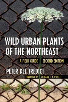 Wild Urban Plants of the Northeast : A Field Guide