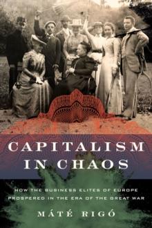 Capitalism in Chaos : How the Business Elites of Europe Prospered in the Era of the Great War