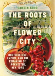 The Roots of Flower City : Horticulture, Empire, and the Remaking of Rochester, New York