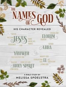 The Names of God - Women's Bible Study Participant Workbook : His Character Revealed