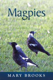 Magpies