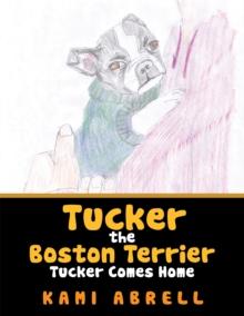 Tucker the Boston Terrier : Tucker Comes Home