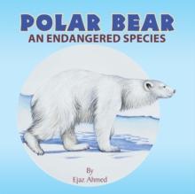 Polar Bear : An Endangered Species