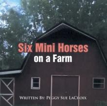 Six Mini Horses on a Farm