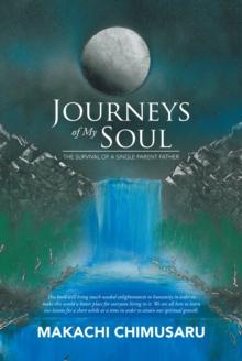 Journeys of My Soul : The Survival of a Single Parent Father