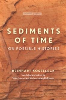 Sediments of Time : On Possible Histories