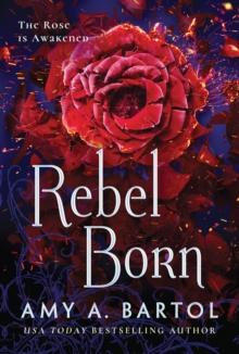 Rebel Born