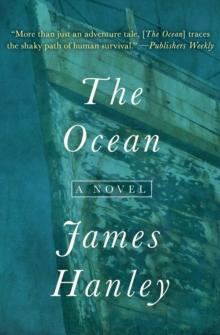 The Ocean : A Novel