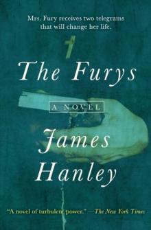 The Furys : A Novel