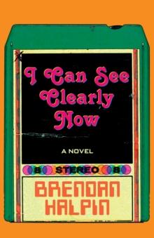 I Can See Clearly Now : A Novel