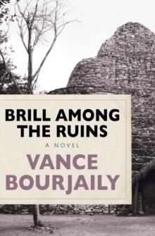 Brill Among the Ruins : A Novel