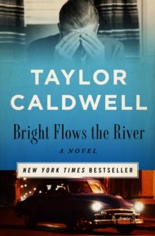 Bright Flows the River : A Novel