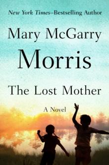 The Lost Mother : A Novel