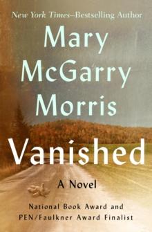 Vanished : A Novel