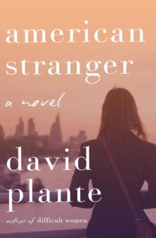 American Stranger : A Novel