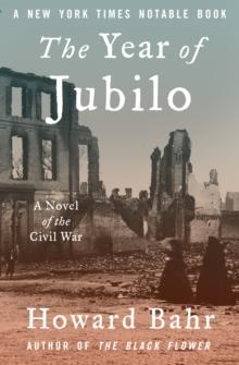 The Year of Jubilo : A Novel of the Civil War