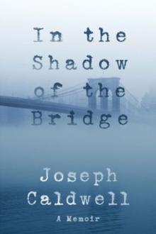 In the Shadow of the Bridge : A Memoir