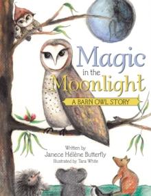 Magic in the Moonlight : A Barn Owl Story