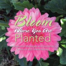 Bloom Where You Are Planted : Inspirational Messages and Guidance in Nature with Sheila Henley