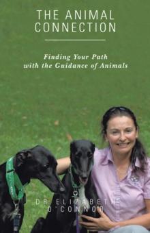 The Animal Connection : Finding Your Path with the Guidance of Animals