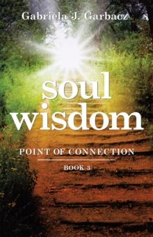 Soul Wisdom : Point of Connection Book 3