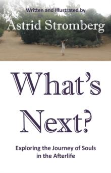 What's Next? : Exploring the Journey of Souls in the Afterlife