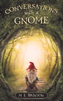 Conversations with a Gnome