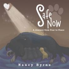 Safe Now : A Journey from Fear to Peace