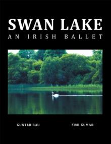 Swan Lake : An Irish Ballet