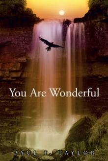 You Are Wonderful : A Devotional Insight into the Names and Descriptions of God and Jesus in the Bible