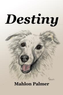 Destiny