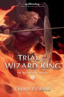 Trial Of The Wizard King: The Wizard King Trilogy Book Two