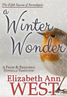 Winter Wonder: A Pride and Prejudice Novella Variation